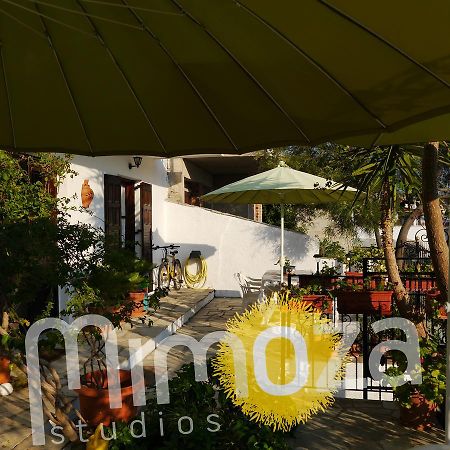 Mimoza Studios Skiathos Exteriér fotografie