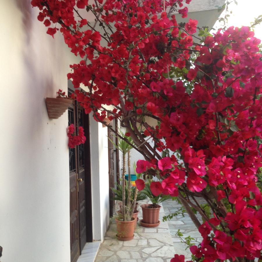 Mimoza Studios Skiathos Exteriér fotografie